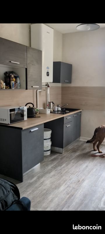 Appartement à louer, 25m², Villeurbanne
