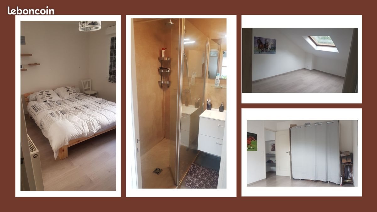 Appartement à louer, 56m², Quintin