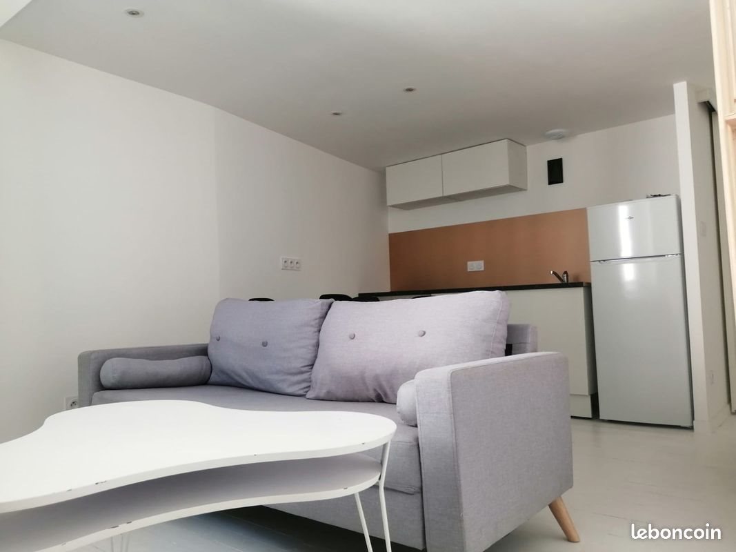 Appartement à louer, 25m², Saint-Etienne