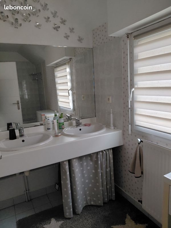 Maison à louer, 35m², Bruz