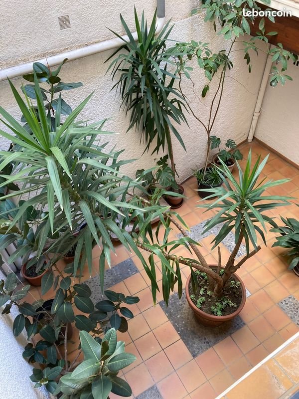 Appartement à vendre, 55m², Perpignan
