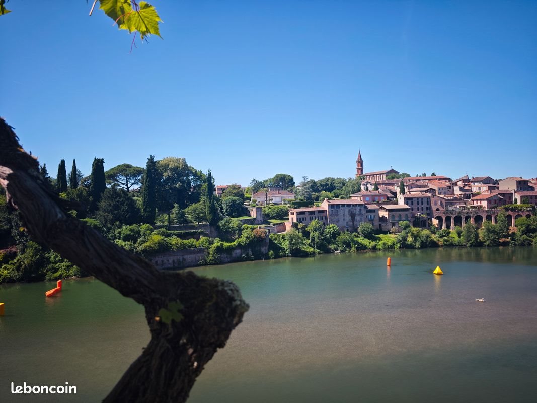 Maison à louer, 80m², Albi