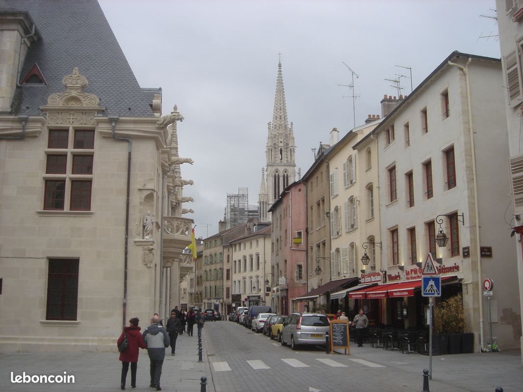 Appartement à louer, 20m², Nancy