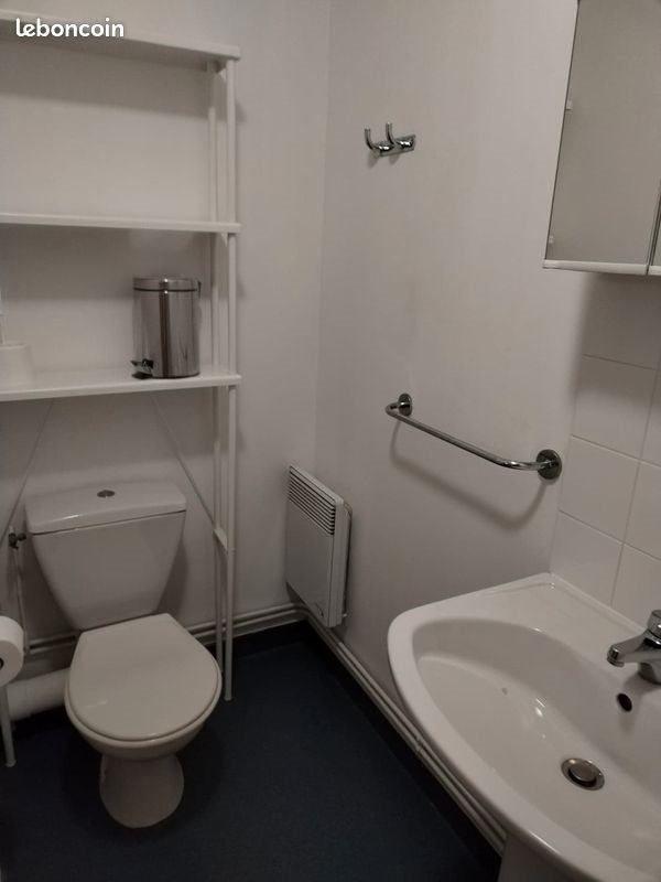 Appartement à louer, 18m², Bron