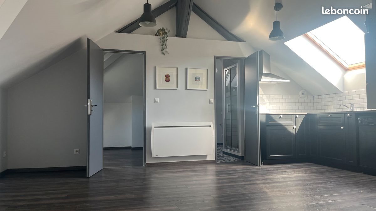Appartement à louer, 28m², Nancy