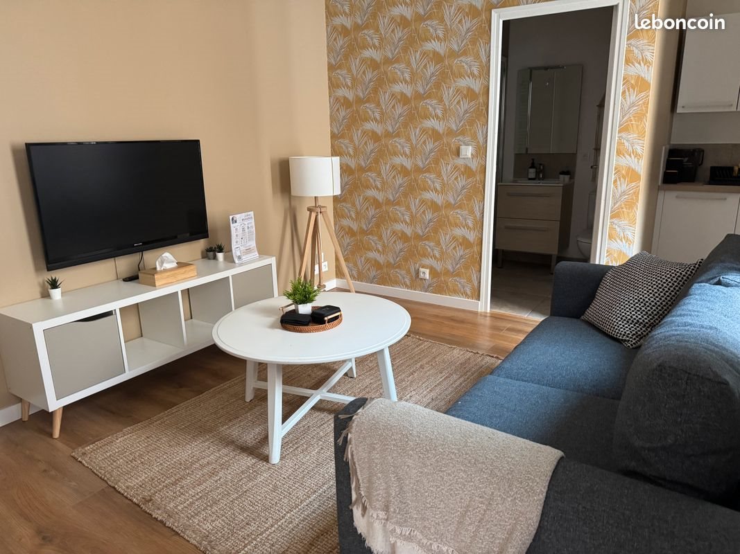 Appartement à louer, 21m², Vichy