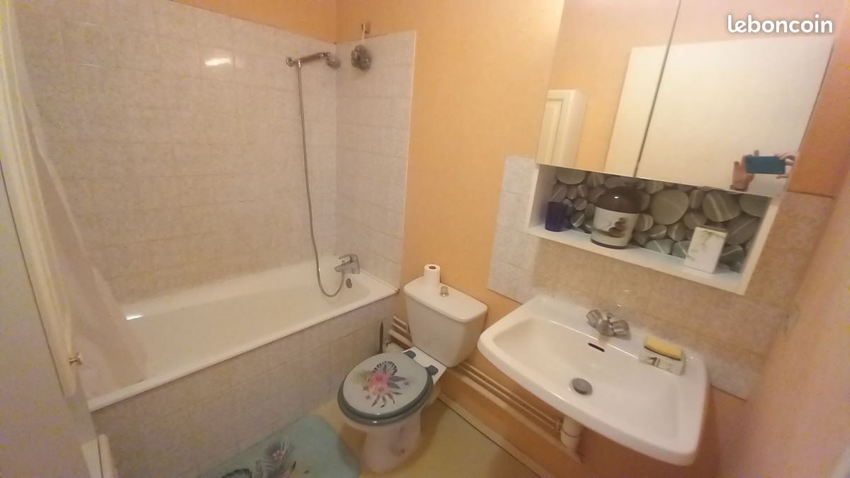 Appartement à louer, 332m², Laxou