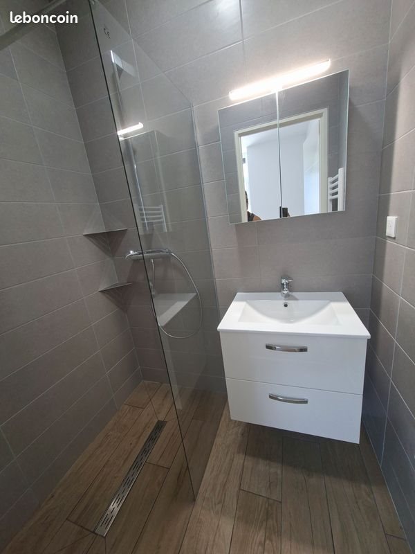 Appartement à louer, 40m², Beaurepaire