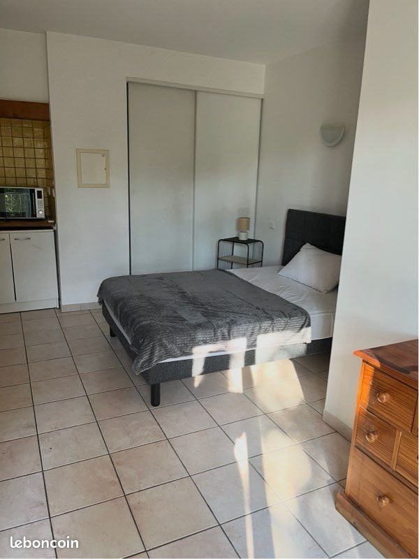 Appartement à louer, 26m², Milhaud
