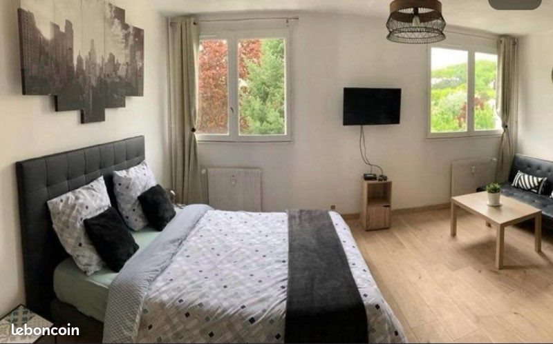 Appartement à louer, 30m², Saint-Étienne