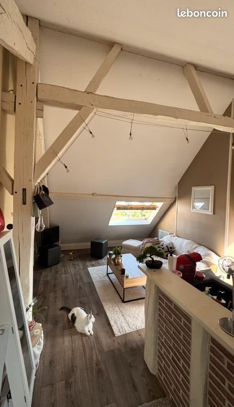Appartement à louer, 20m², Blois