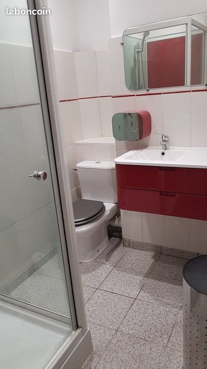 Appartement à louer, 35m², Saint-Etienne