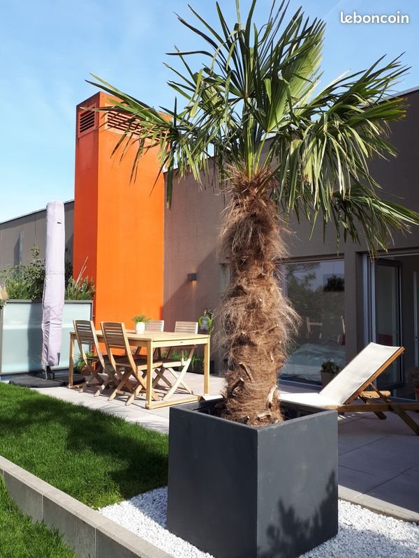 Appartement à louer, 79m², Saint-Ouen-sur-Seine