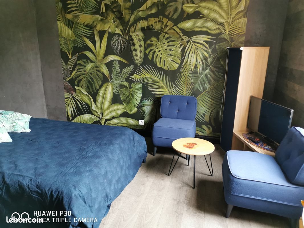 Appartement à louer, 30m², Colmar