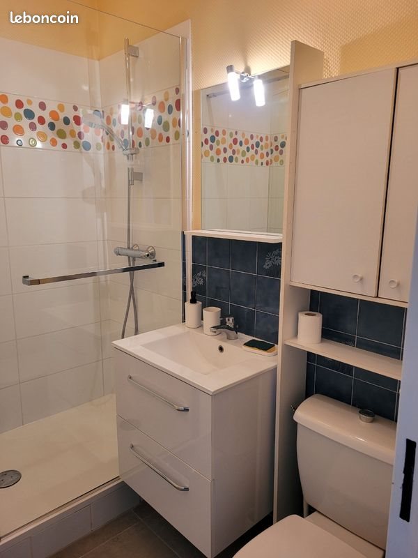 Appartement à louer, 20m², Angers