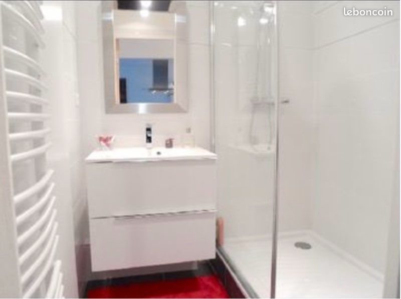 Appartement à louer, 54m², Saint-Étienne