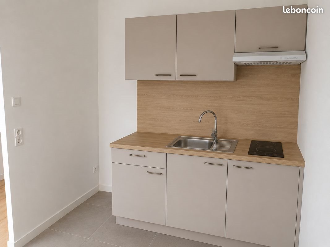 Appartement à louer, 54m², Roubaix