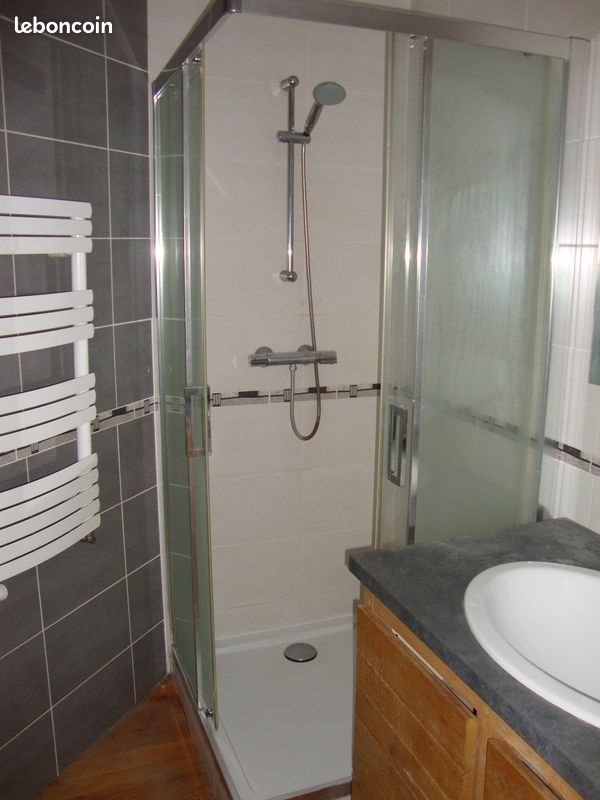 Appartement à louer, 55m², Nancy