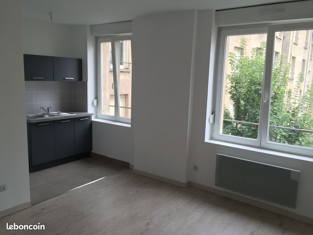 Appartement à louer, 30m², Nancy