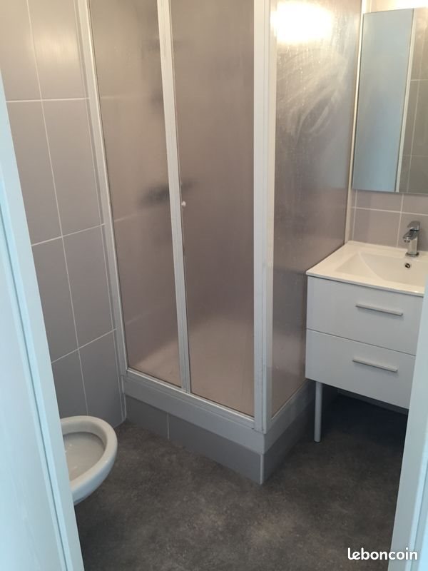 Appartement à louer, 30m², Nancy