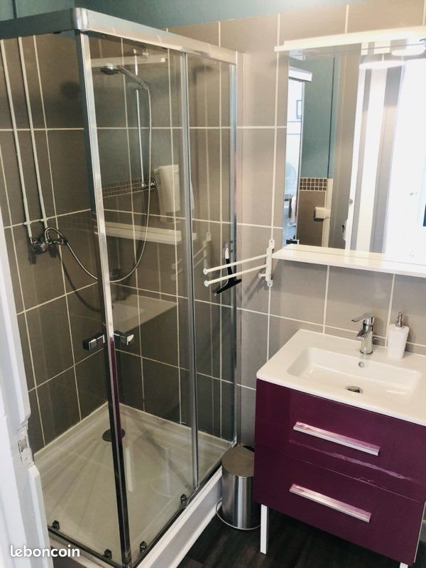 Appartement à louer, 40m², Saint-Etienne