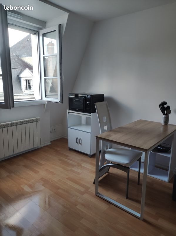 Appartement à louer, 20m², Château-Gontier
