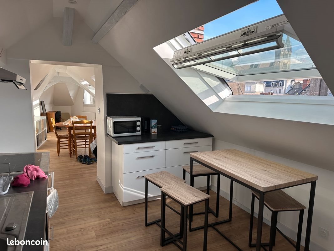 Appartement à louer, 50m², Angers