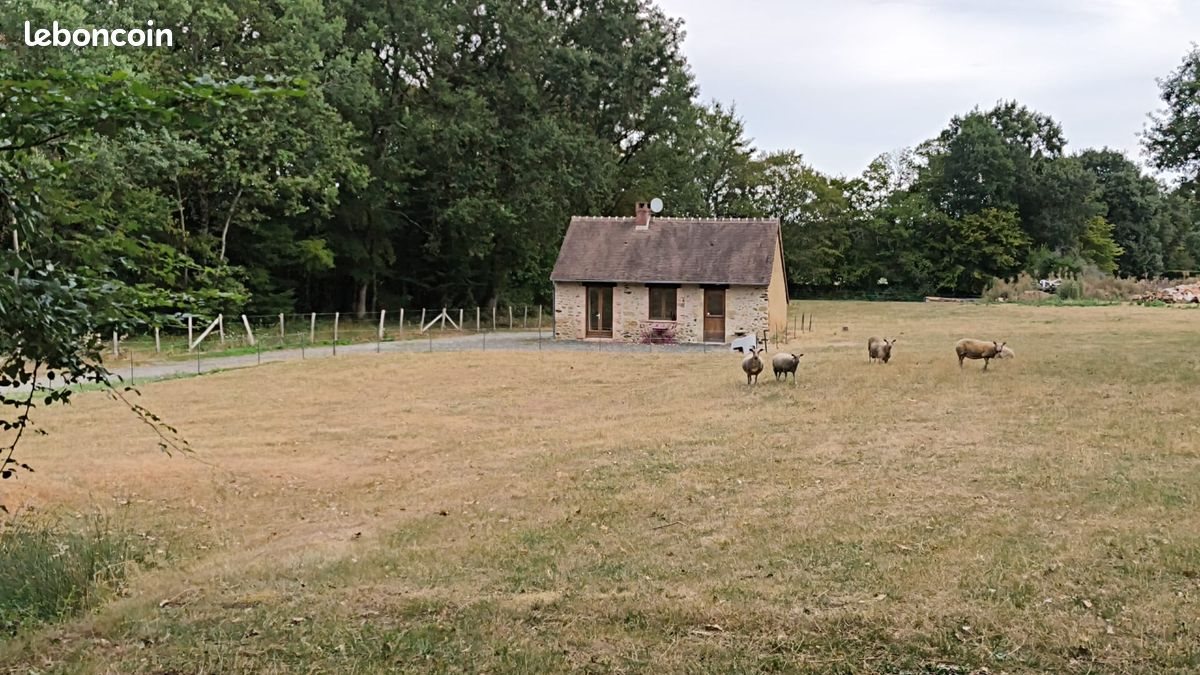 Maison à louer, 40m², La Chapelle-d'Aligné