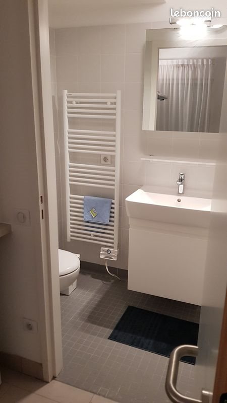 Appartement à louer, 15m², Guyancourt