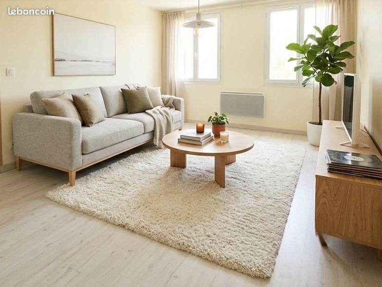 Appartement à louer, 55m², Château-Arnoux-Saint-Auban
