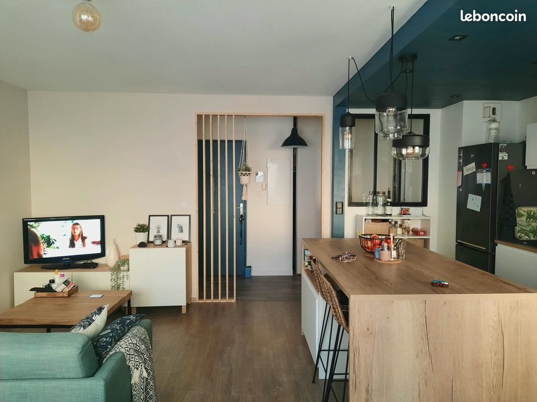 Appartement à louer, 53m², Villeurbanne