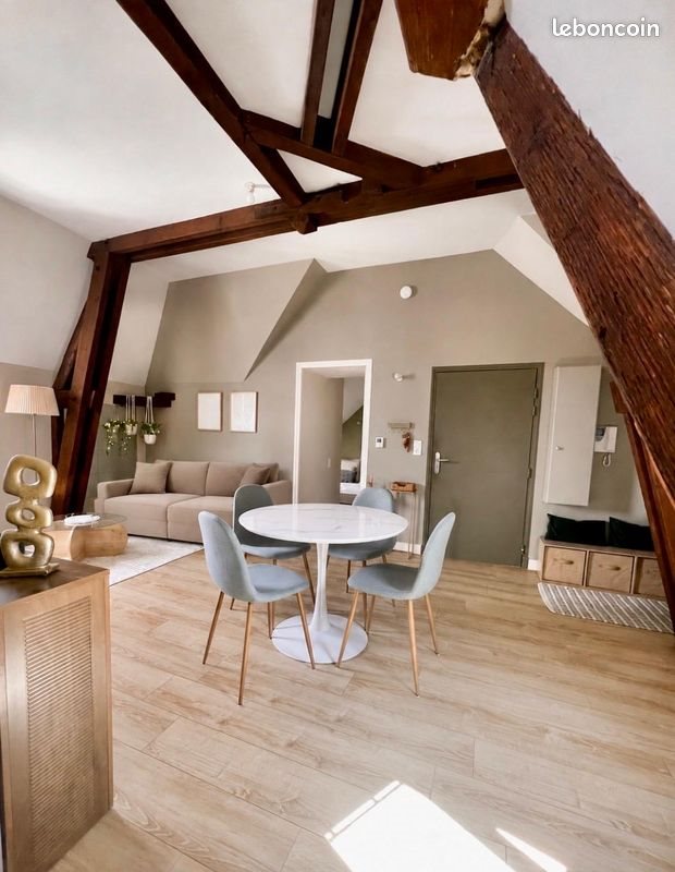 Appartement à louer, 51m², Saumur