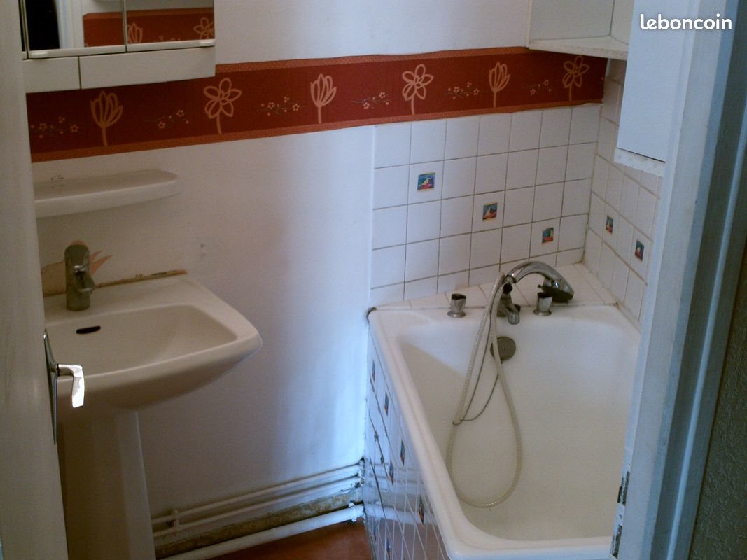 Appartement à louer, 25m², Mende