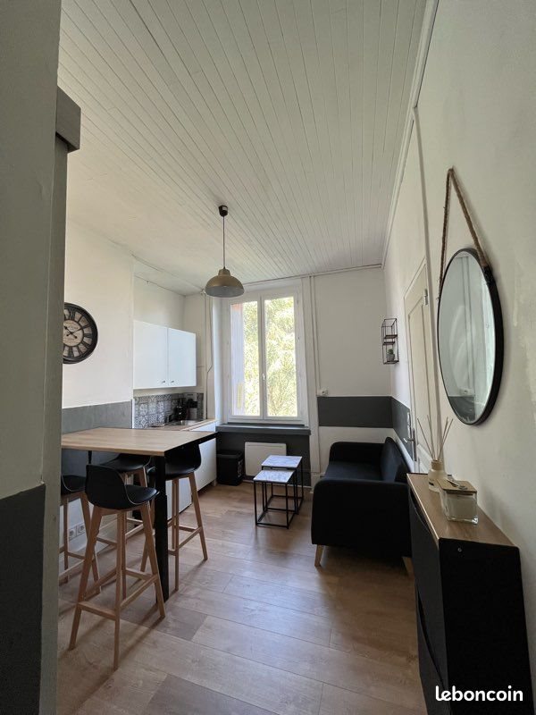 Appartement à louer, 22m², Saint-Etienne