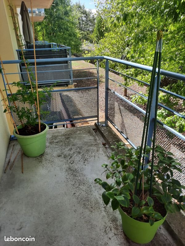 Appartement à louer, 48m², Albi