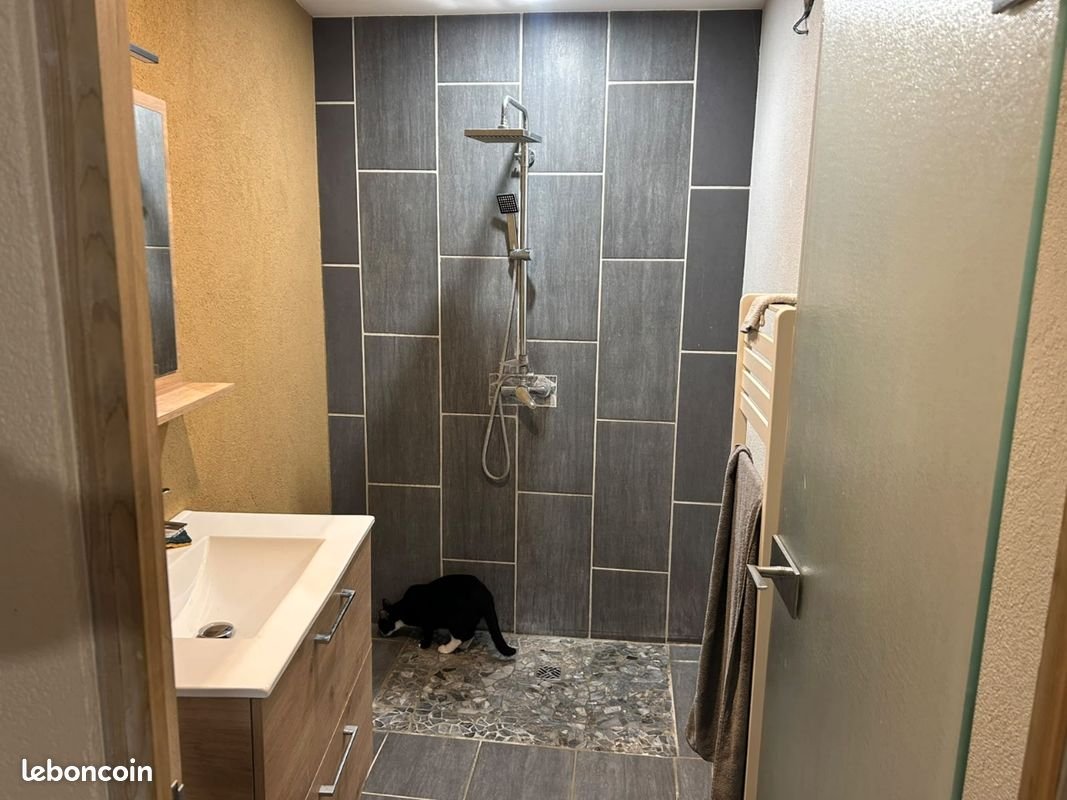 Appartement à louer, 60m², Schiltigheim