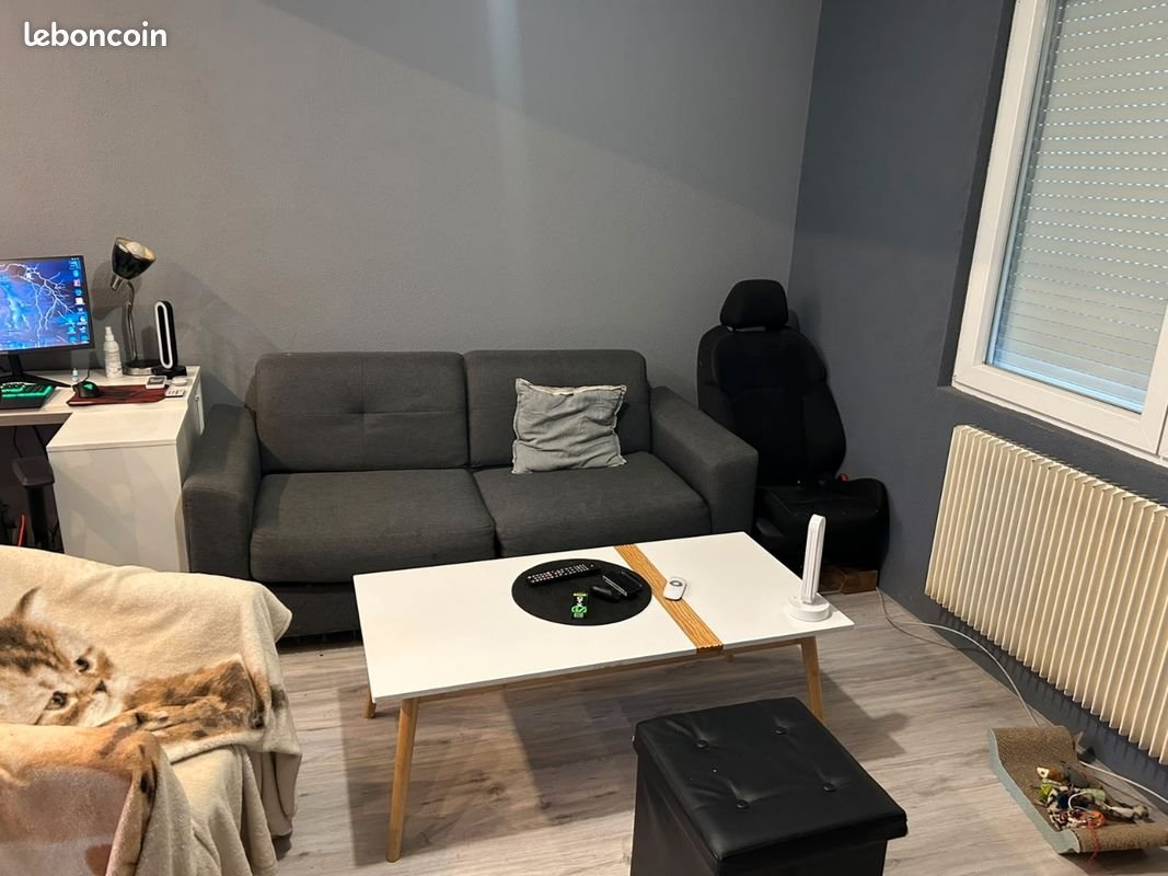 Appartement à louer, 60m², Schiltigheim
