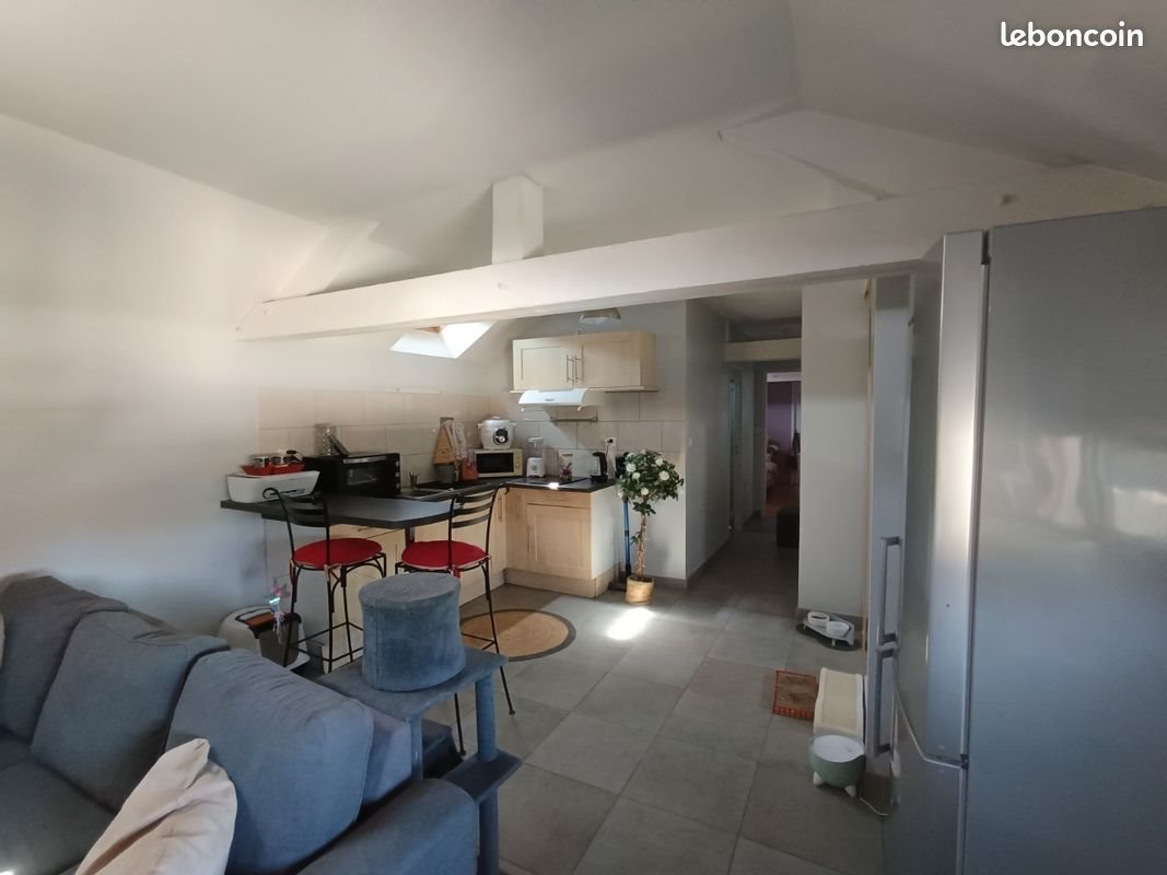 Appartement à louer, 50m², Angers