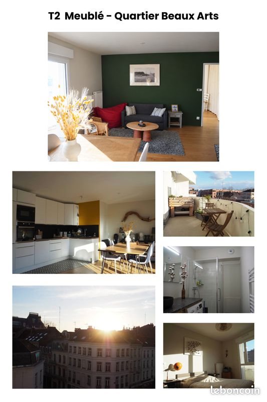 Appartement à louer, 50m², Lille