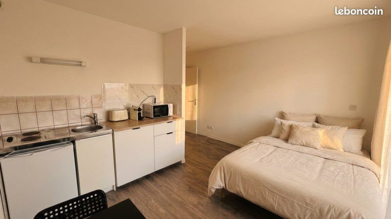 Appartement à louer, 19m², Sausheim