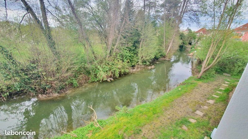 Appartement à louer, 19m², Sausheim