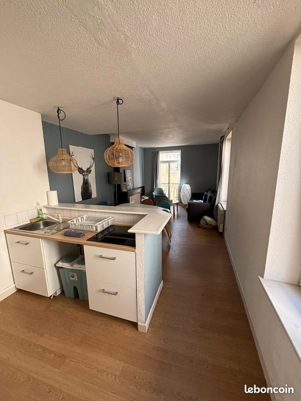 Appartement à louer, 75m², Nancy