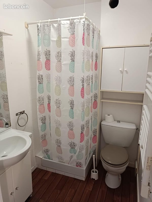 Appartement à louer, 21m², Château-Gontier