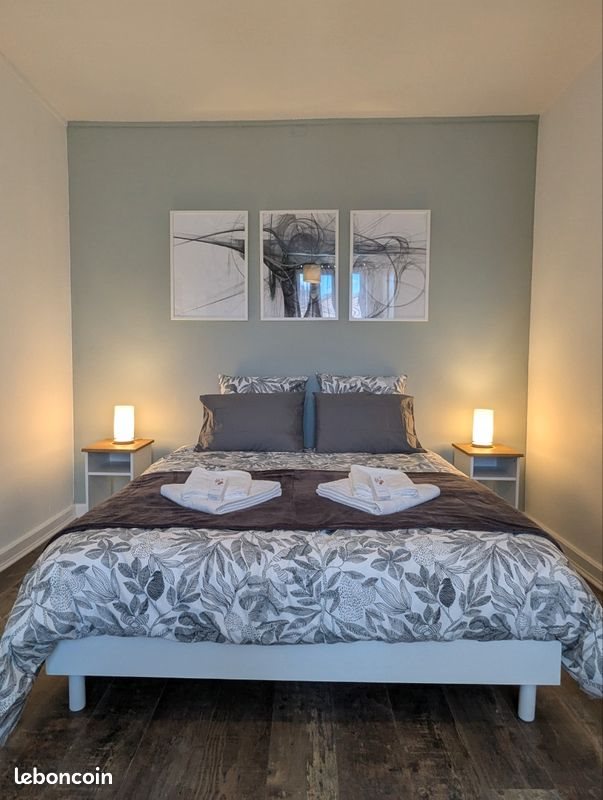 Appartement à louer, 46m², Nancy