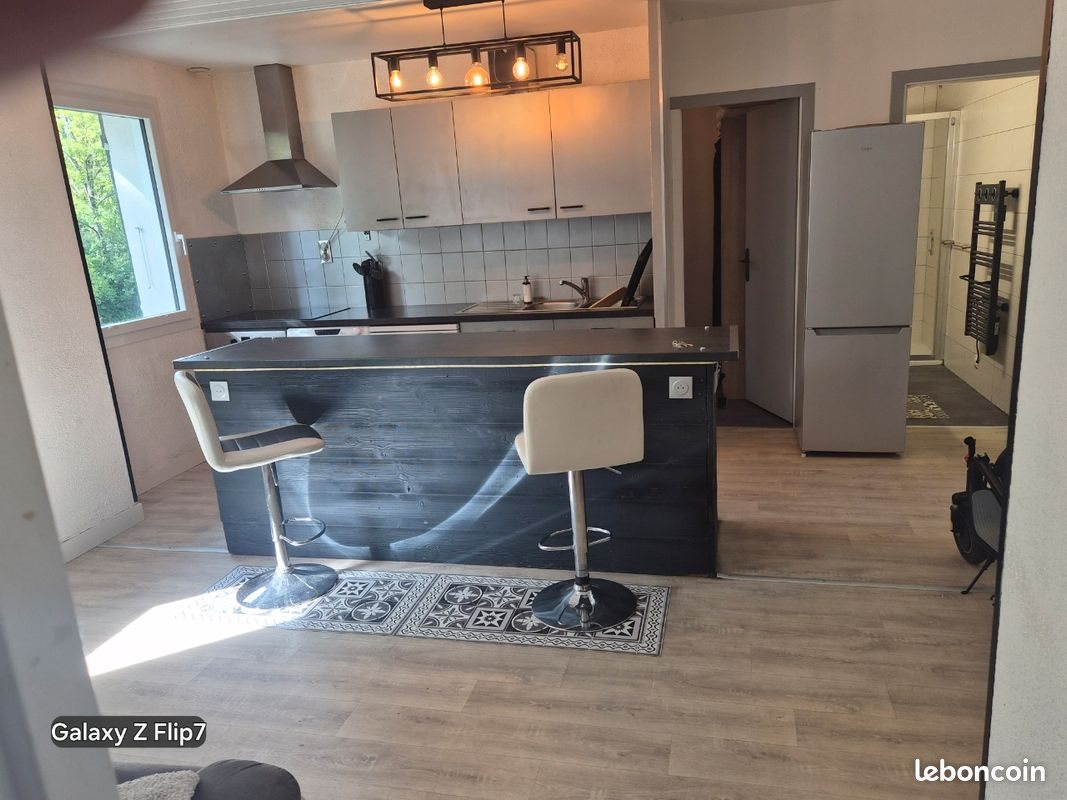 Appartement à louer, 48m², Doussard