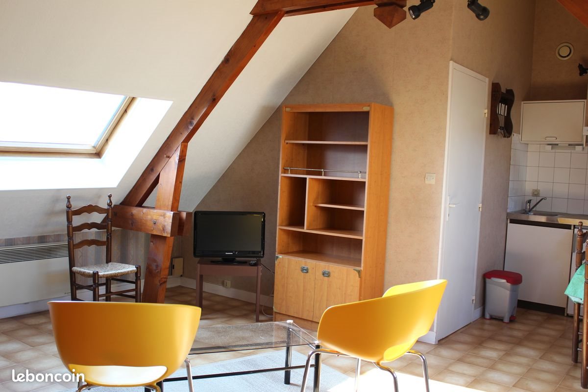 Appartement à louer, 28m², Joué-lès-Tours