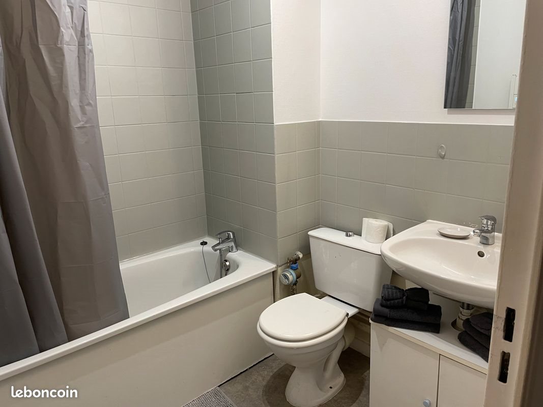 Appartement à louer, 31m², Nancy