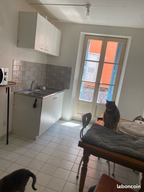 Appartement à louer, 34m², Le Puy-en-Velay