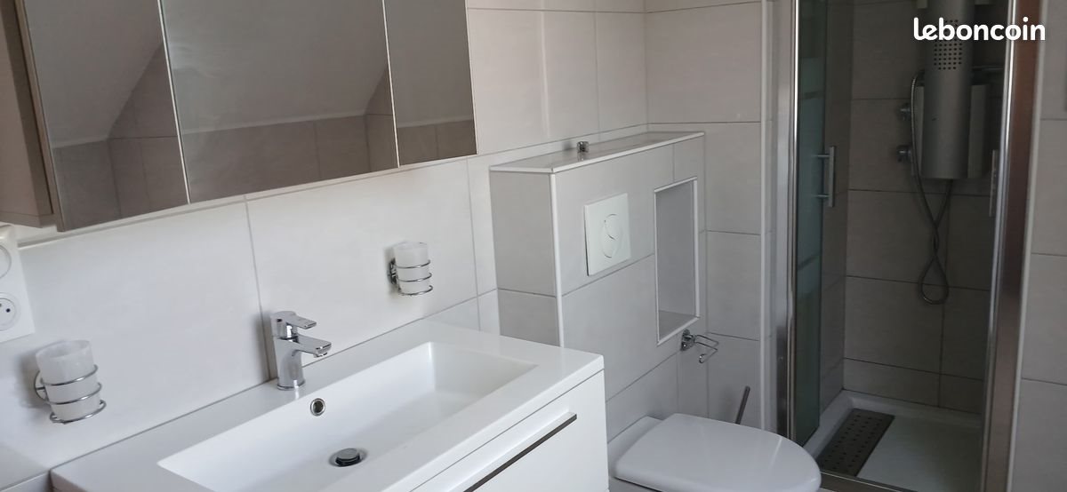 Appartement à louer, 104m², Colmar
