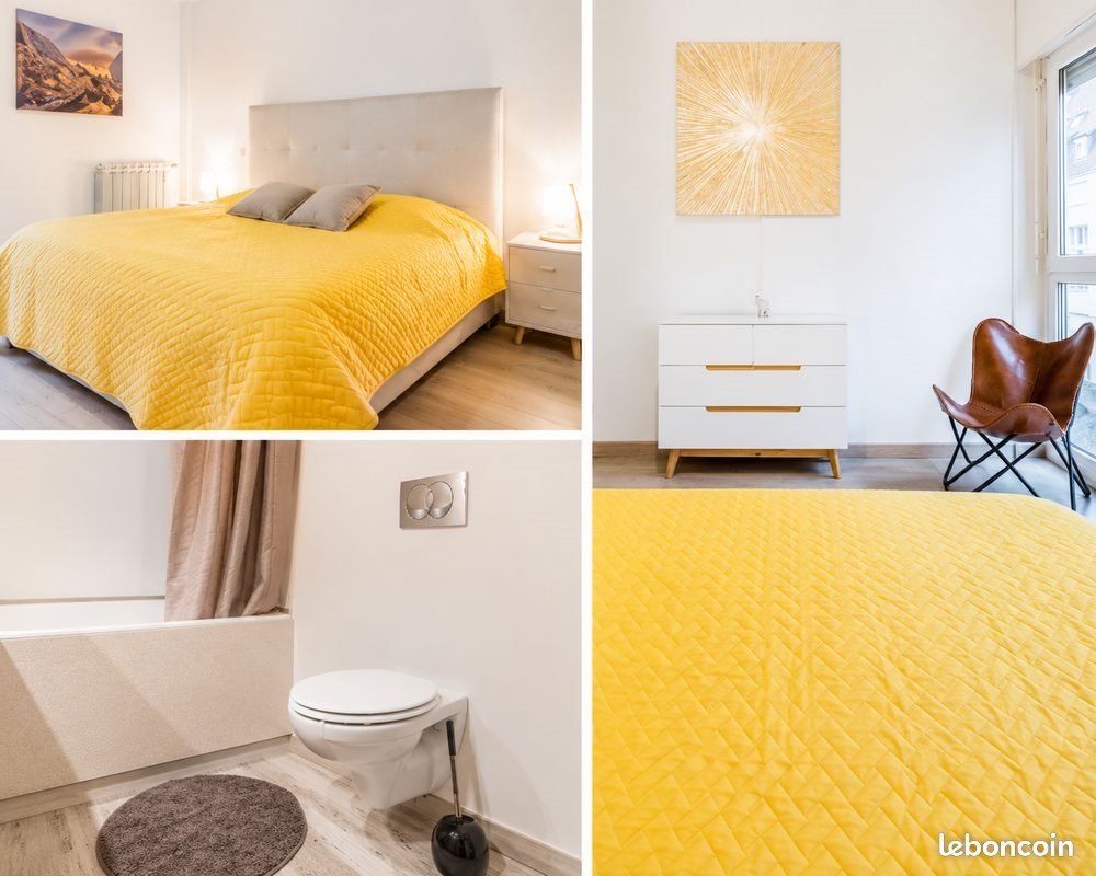 Appartement à vendre, 44m², Colmar